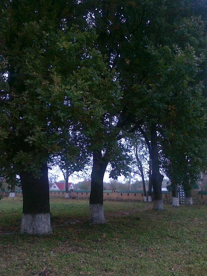 Parhomivka
