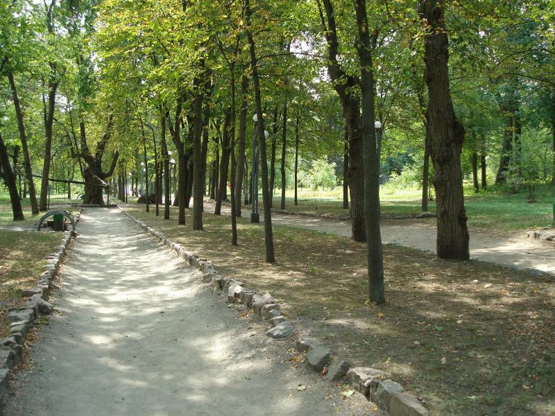 корсунь парк алея