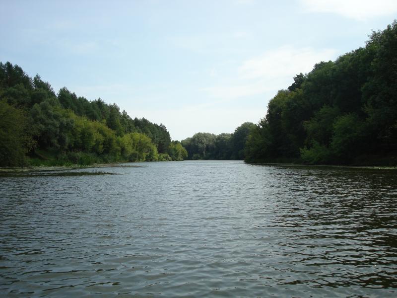 Корсунь Рось