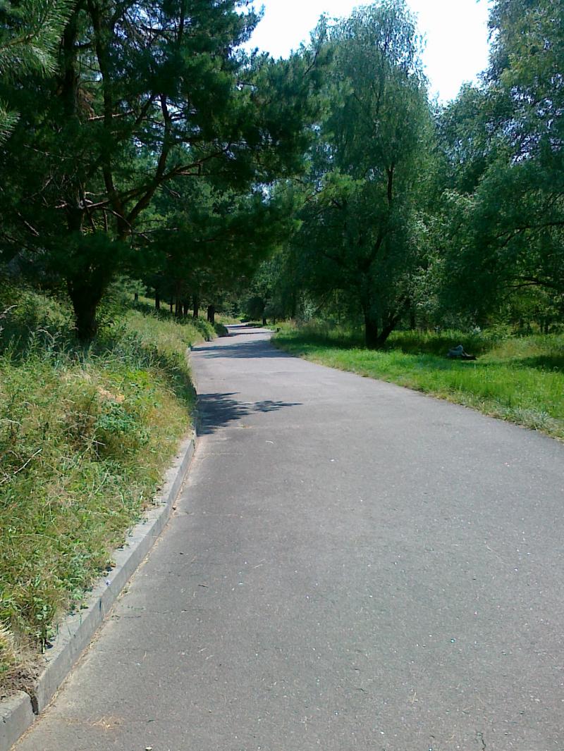 Доріжка