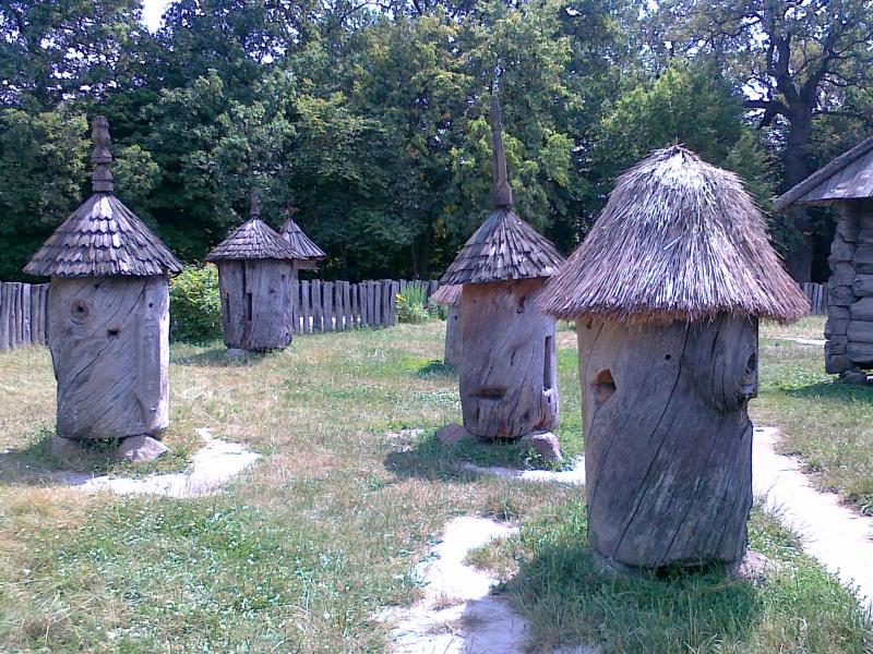 Вулики з Волині