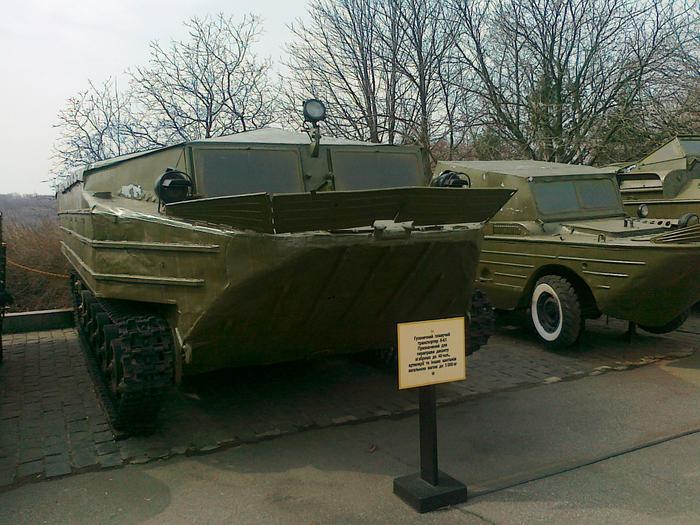 Амфібії