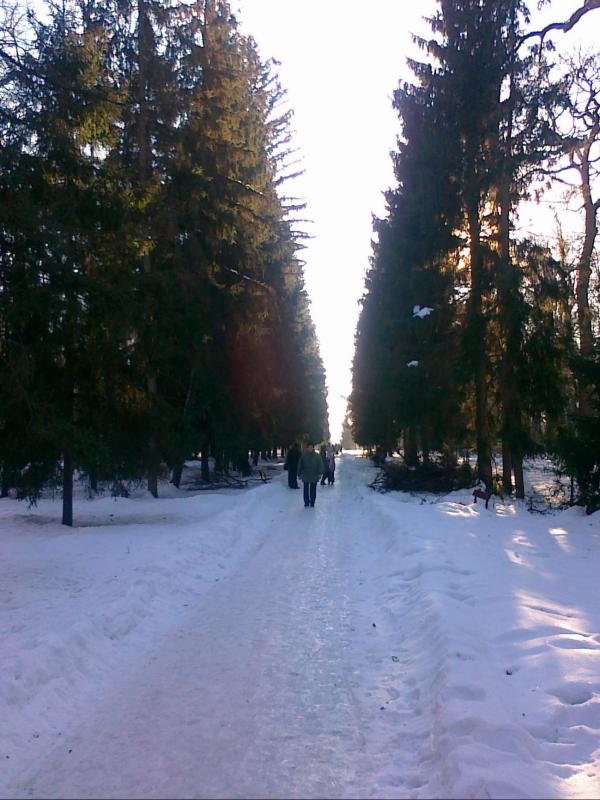 Алея до адмінбудинку