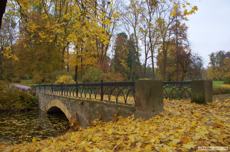 Жовтий місток