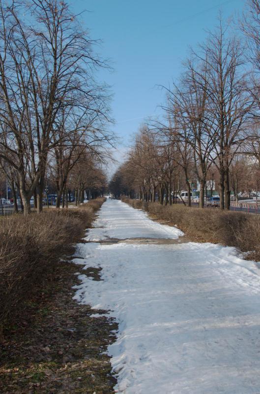 бул. 50-річчя Перемоги.