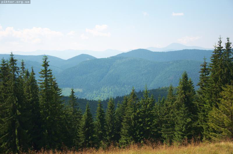 Карпати