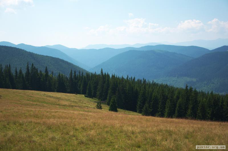 Карпатські краєвиди