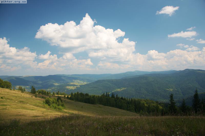 Види Карпат