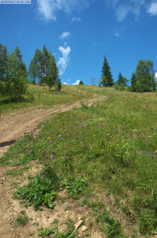 Дорога в небо