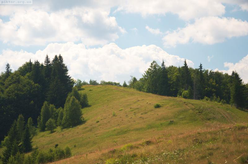 На Круглоявірник