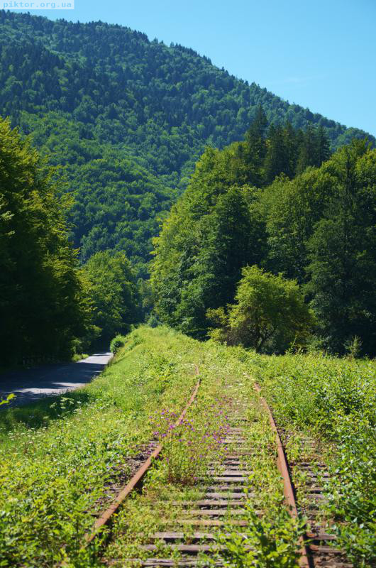 Гори Закарпаття