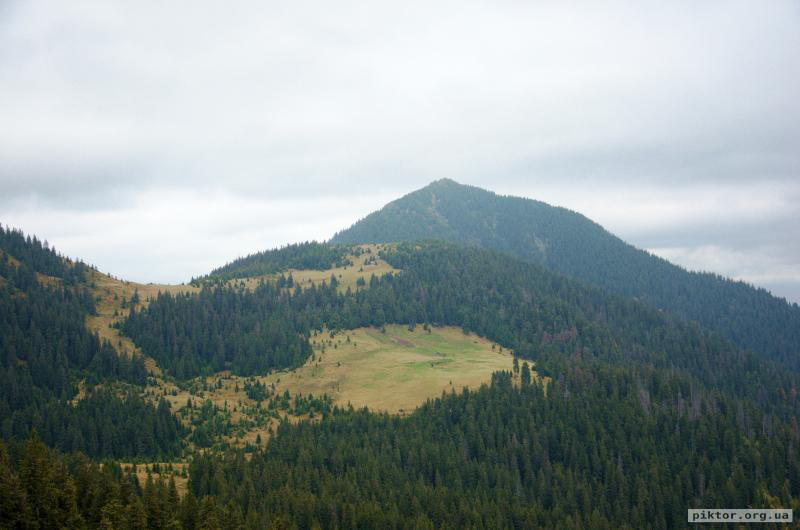Високі ліси