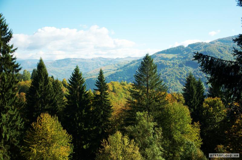 Улюблене фото