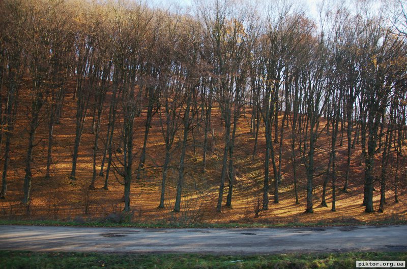 Гарна осінь