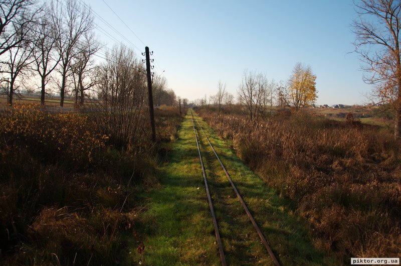 Вузька колія