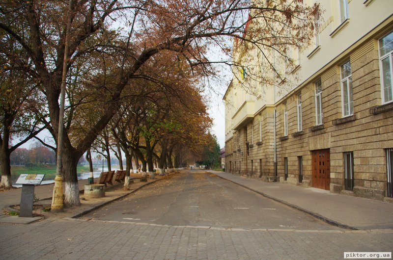 Липова алея