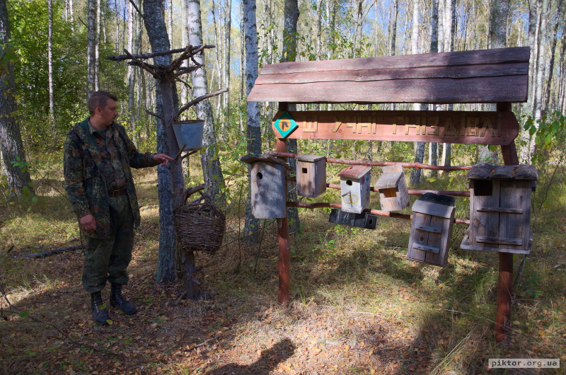 Гніздівлі