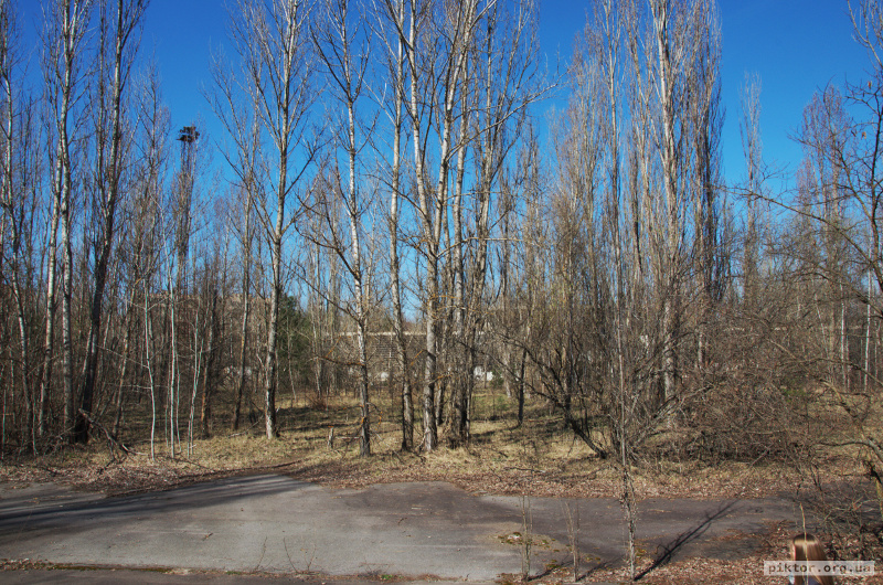 Не парк
