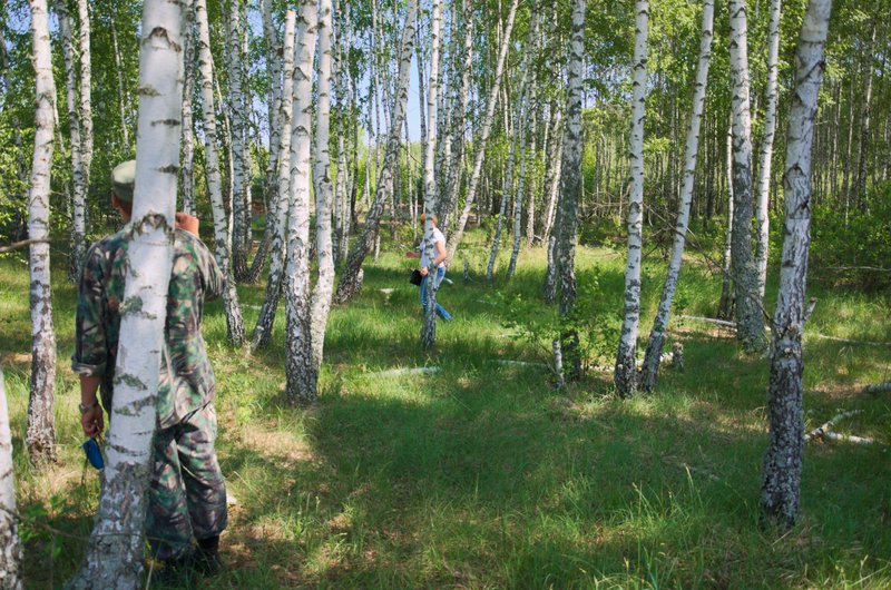 Берези