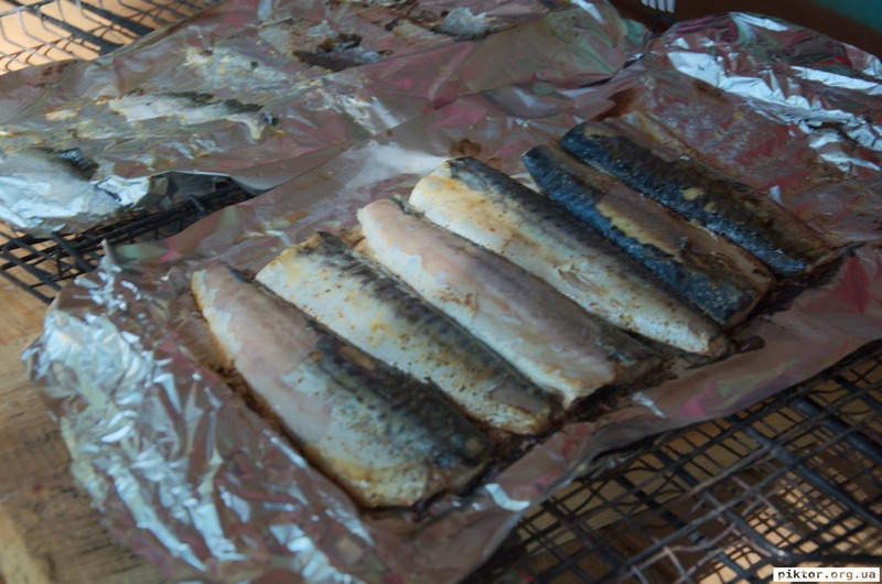 Ранкова скумбрія