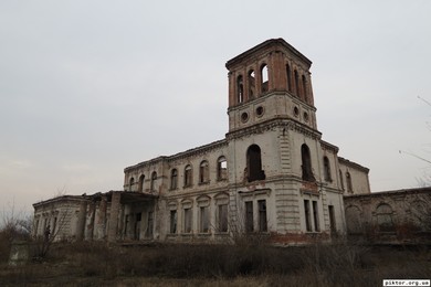 Олександрія