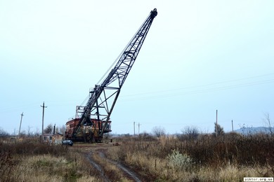 Олександрія
