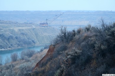 Олександрія