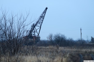 Олександрія