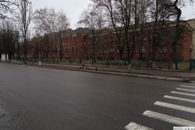 Олександрія