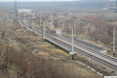 Олександрія