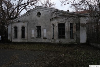 Олександрія