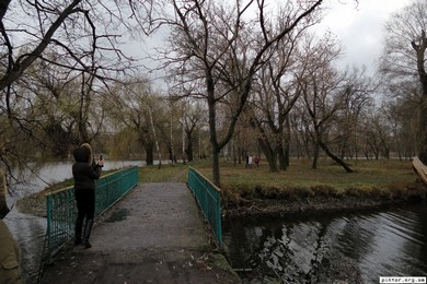 Олександрія