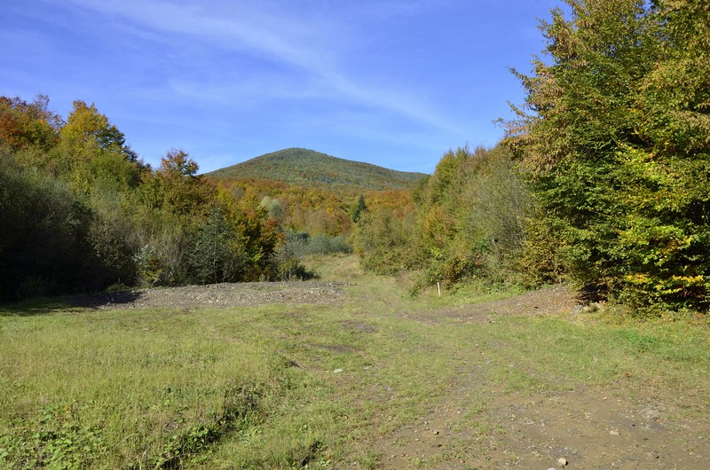 Краєвиди