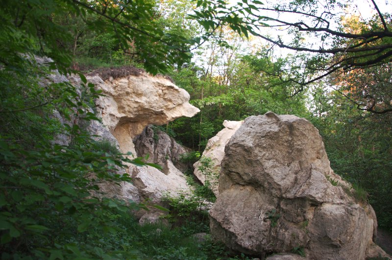 Вовк