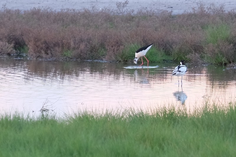 Мало води