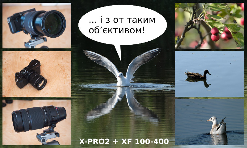 Титулка