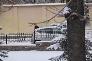 Серійна зйомка