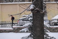 Серійна зйомка