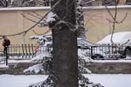 Серійна зйомка