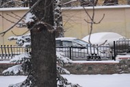 Серійна зйомка