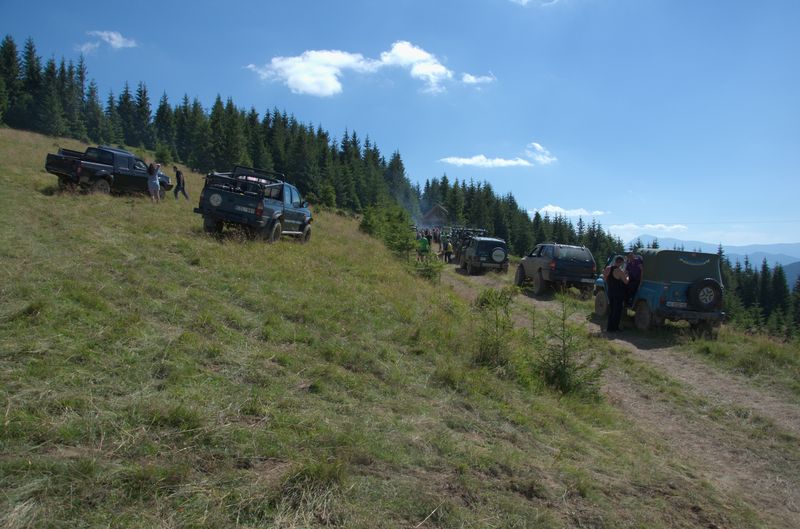 Позадорожники