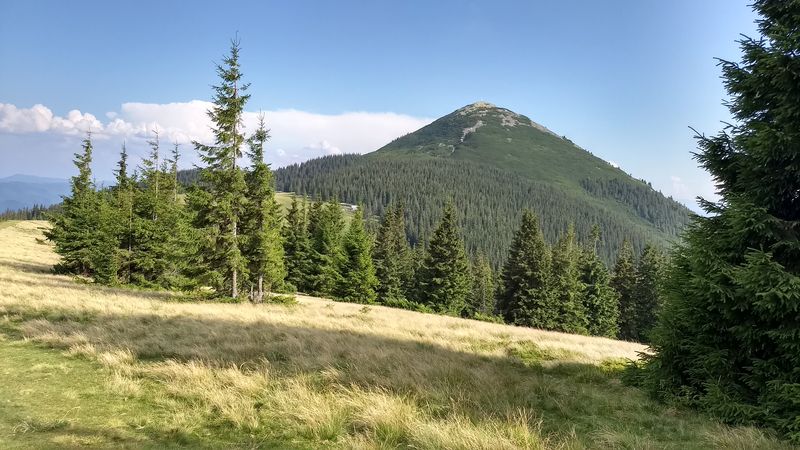 Гора Хом'як