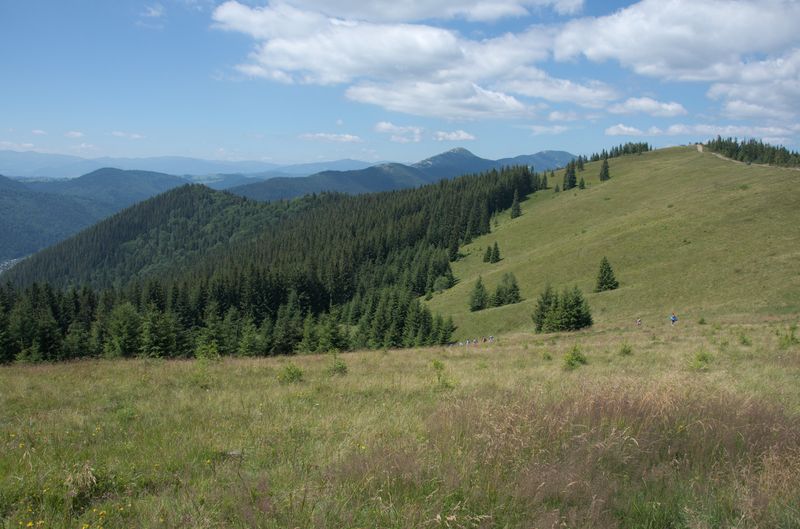 Ліснівський хребет