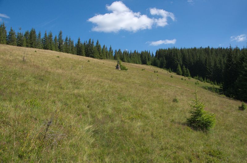 Ліснівський хребет