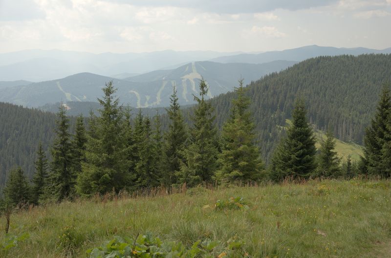 Буковель з Малого Ґорґана