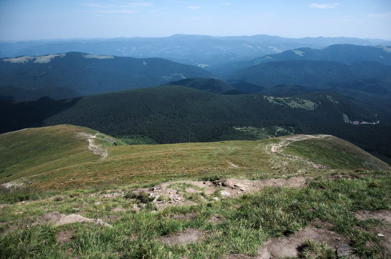 Стежки