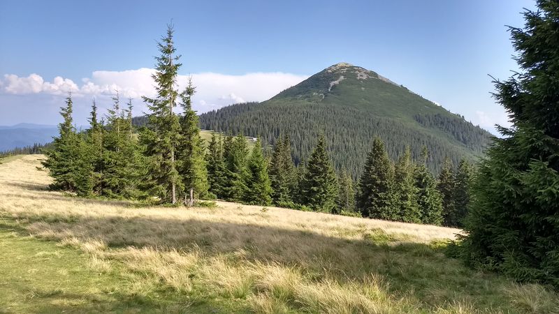 Полонина Хом'яків