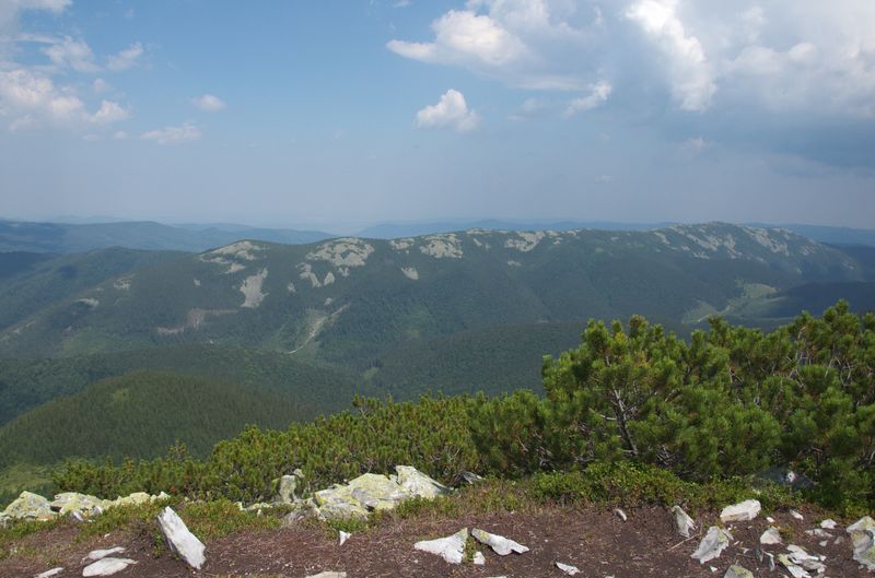 Хребет Явірник