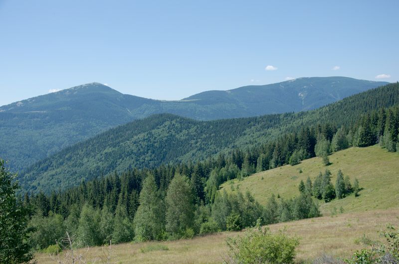 Вершина Круглоявірника