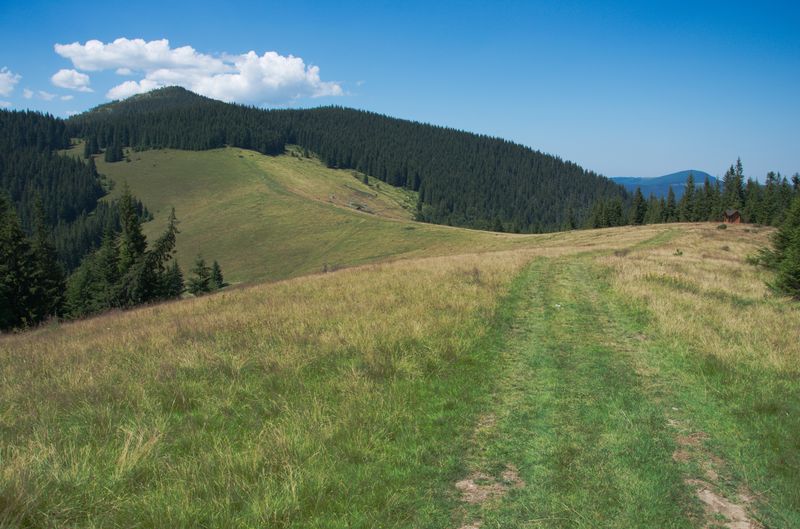 Полонина Явірник